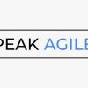 Peak Agile Logo