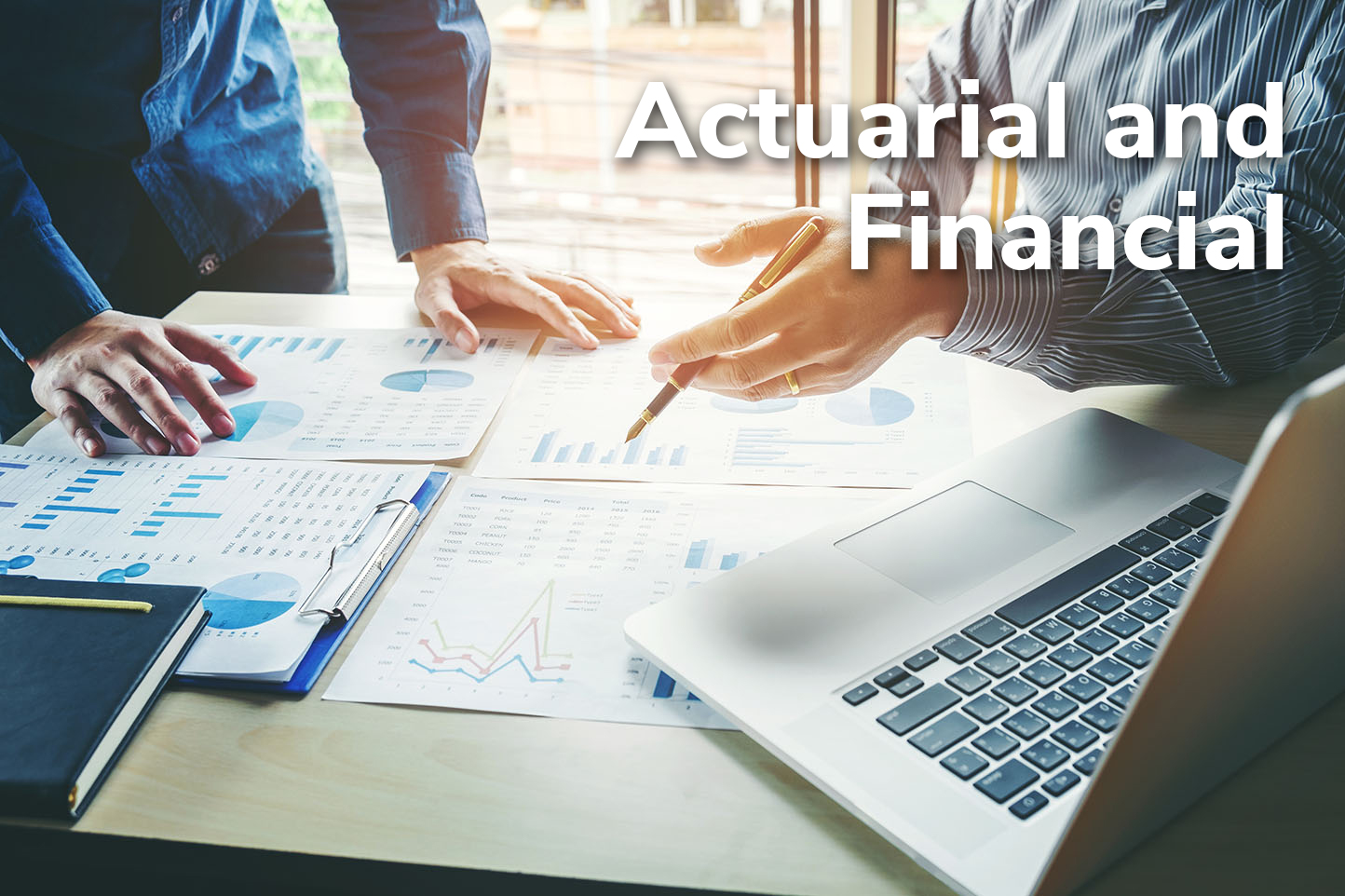 Actuarial and Financial Title Frame