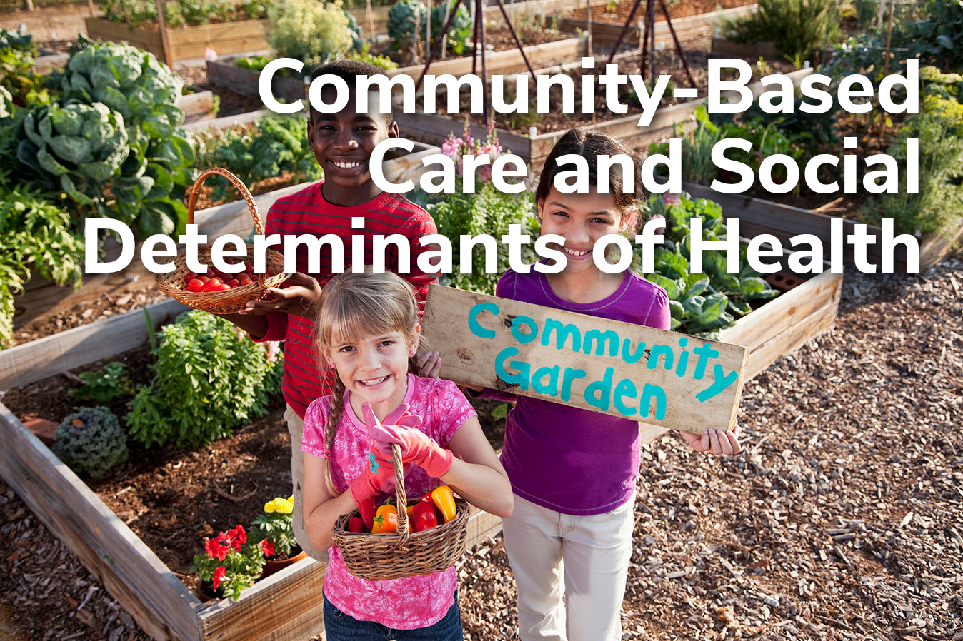 Community-Based Care and Social Determinants of Health Title Frame